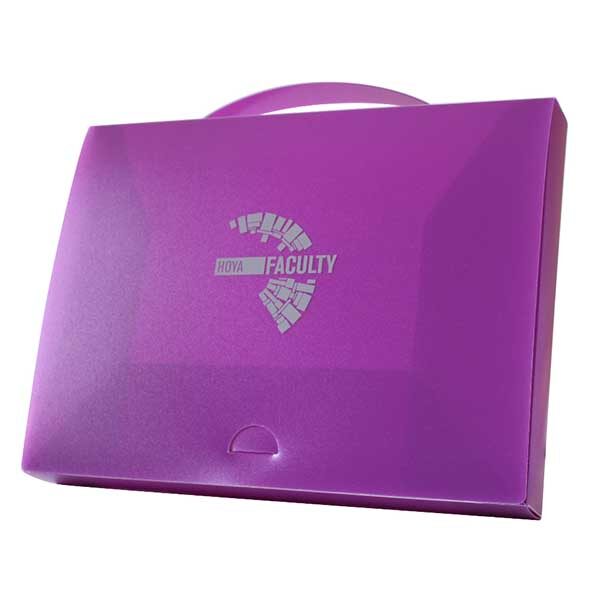 Polypropylene briefcase with hiding handle