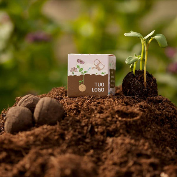 Biosfera, bomba di semi con confezione personalizzata con logo