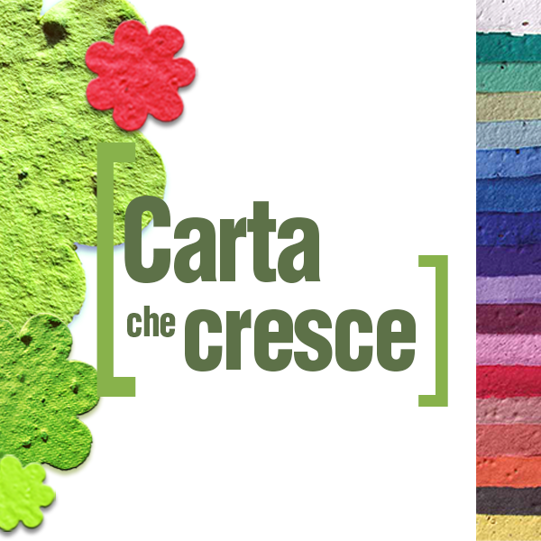 carta che cresce blog in evidenza