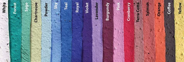 Carta-Che-Cresce-Colors
