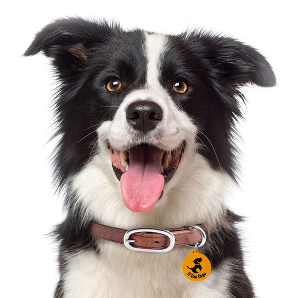 Medaglietta_cane_con-logo