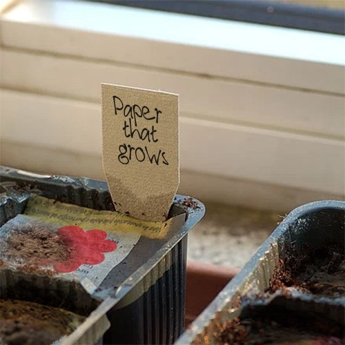 PaperThatGrows vaso