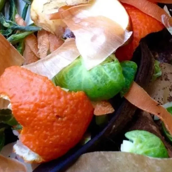 biodegradabile-compostabile-square