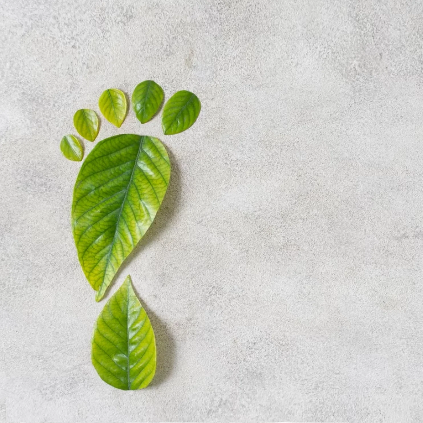 Our Ecovadis medal -ecovadis - blog - header